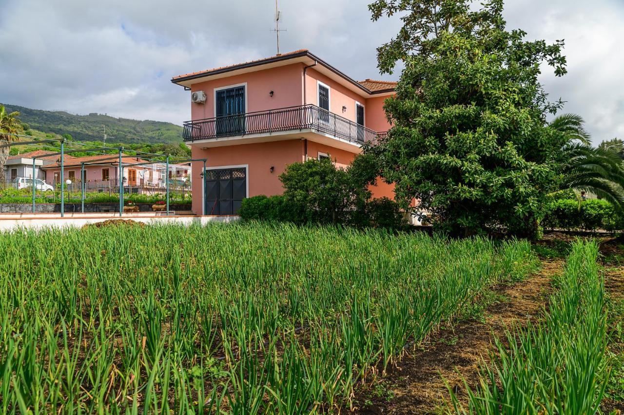 Bee Happy - Bed And Breakfast Цафферана-Этнея Экстерьер фото